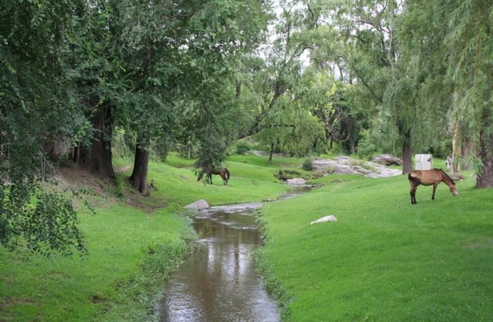 ¡Todos a participar! Alta Gracia se suma al Día Mundial de la Limpieza