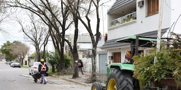 Poda en Rafaela