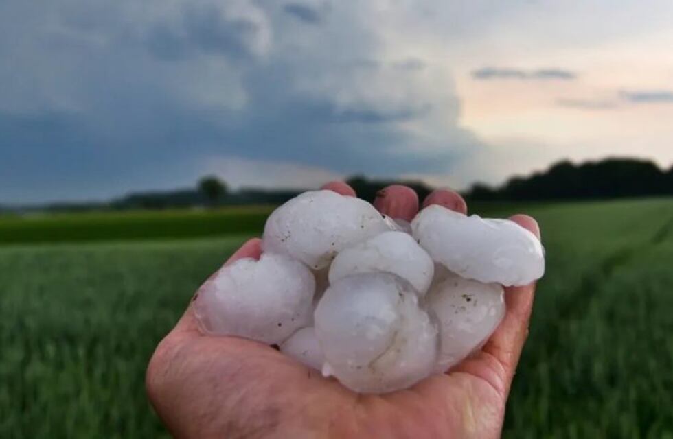 El granizo generó destrozos en Lavalle