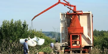 Cosecha mecanizada de yerba mate