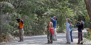 Más de 100 guías de turismo de Río Negro recibieron una ayuda económica
