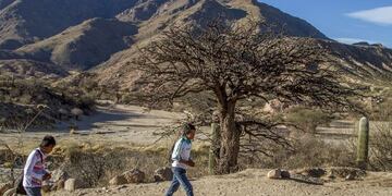 Amaicha\u002E (El Tribuno)