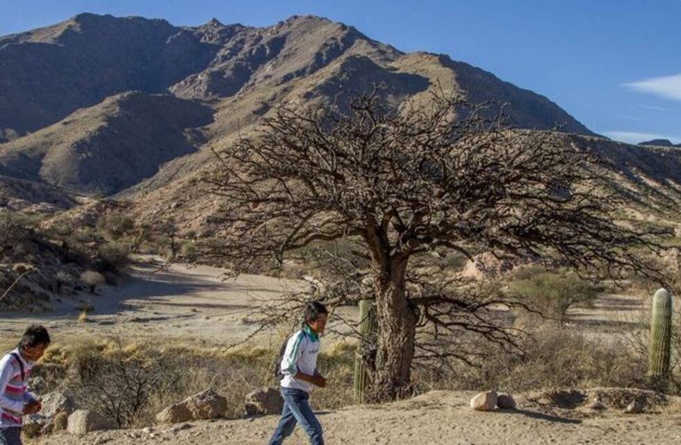 Solicitan donaciones de cremas y ropa de abrigo para niños de Amaicha y Hualfín