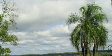 Bajante del río Paraná\u002E Eldorado