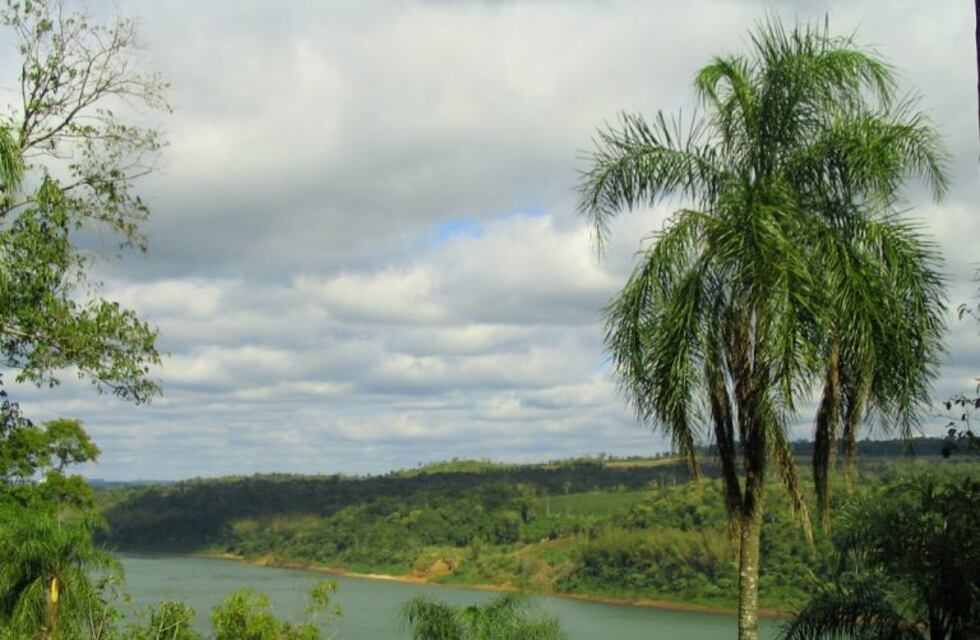 Bajante del río Paraná: el jefe de la Prefectura de Eldorado sostuvo que se trata de un fenómeno extraordinario