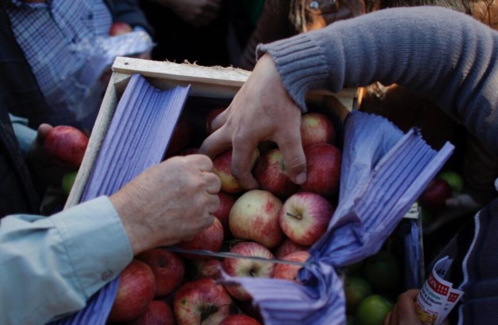 Preocupación por la situación de la producción frutihortícola cuyana