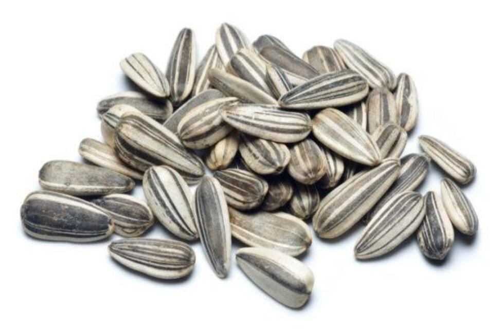 Ablacionaron los órganos de nena de Laboulaye que murió al comer semillas de girasol