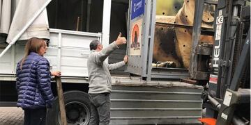 Traslado de leones santiagueños\u002E