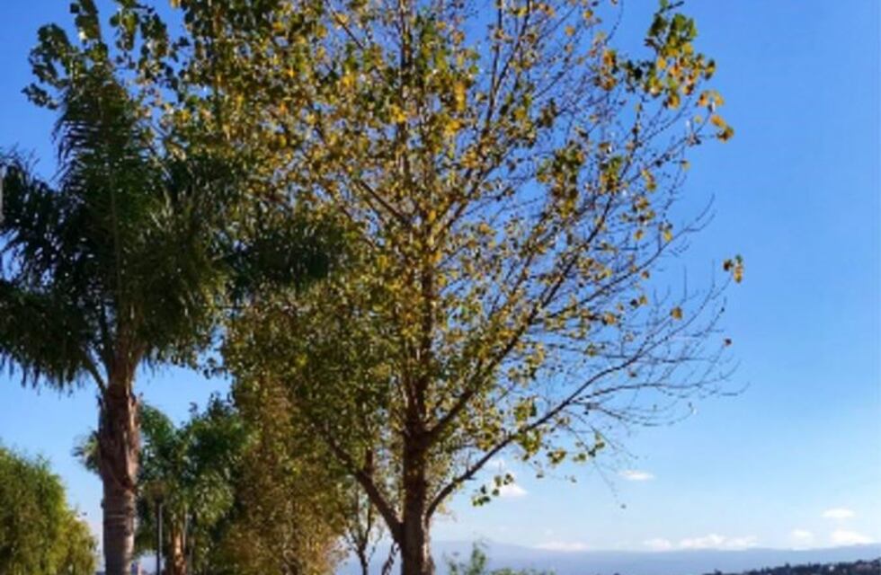 Continúan los días de calor y sol a pleno en Villa Carlos Paz