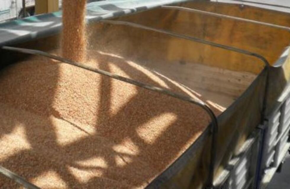 Abandonó el camión cargado de soja y huyó de la policía