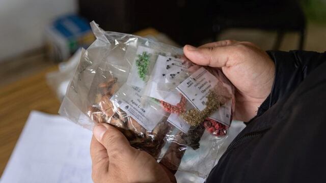 Entrega de semillas para huertas comunitarias