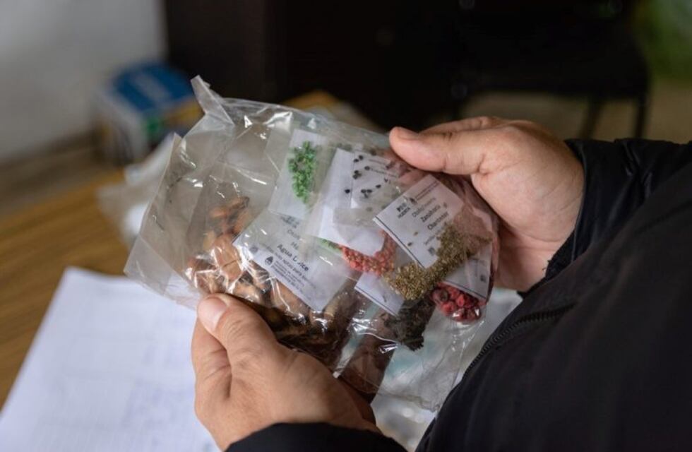 Tres Arroyos: Capacitaciones en huerta y entrega de semillas