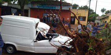 Por la tormenta un árbol cayó sobre un Fiat Fiorino en Apóstoles\u002E No hubo heridos\u002E