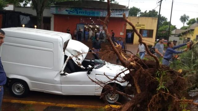 Por la tormenta un árbol cayó sobre un Fiat Fiorino en Apóstoles\u002E No hubo heridos\u002E