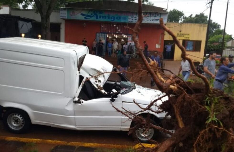 Tras la tormenta un árbol aplastó un vehículo utilitario en Concepción de la Sierra