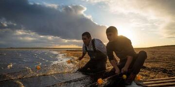 Rescate de peces en Las Salinas