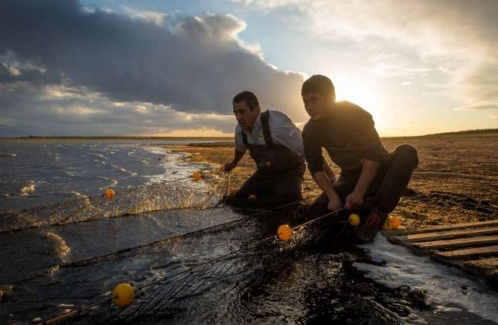 Laguna Las Salinas: de 3.500 hectáreas de superficie, hoy no supera las 40