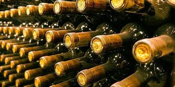 Vinos Bodega