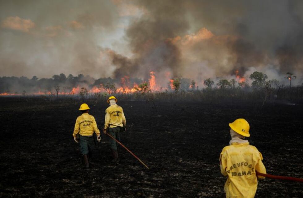 La deforestación en la Amazonía brasileña alcanza el mayor nivel en más de una década
