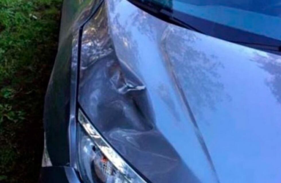 Un arquitecto atropelló y mató a un hombre en la Panamericana y no paró a auxiliarlo