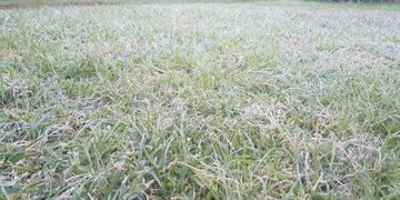 Helada en Salta\u002E (VíaSalta)