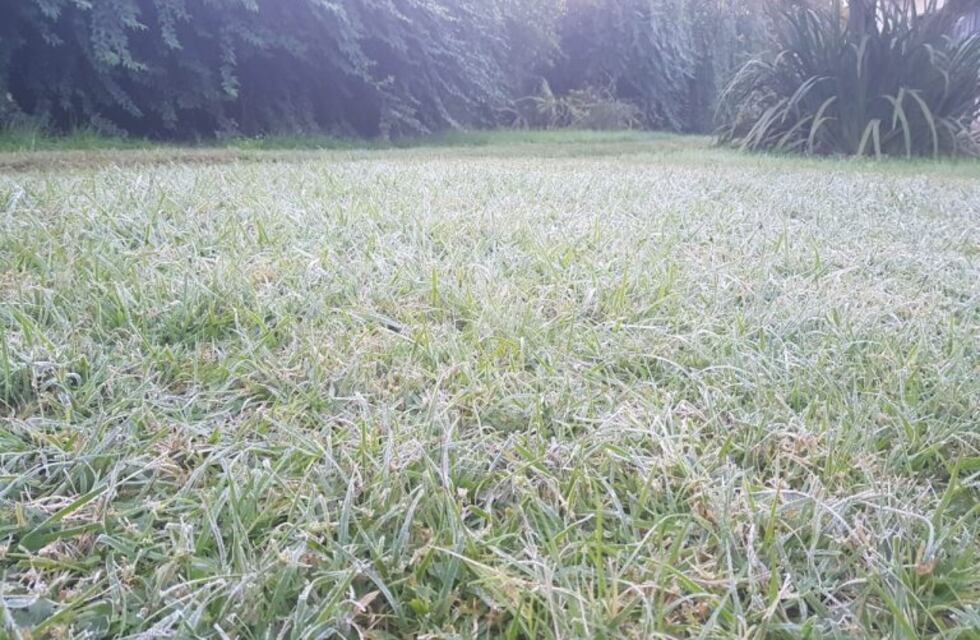 Hacen 0ºC y Salta amaneció helada