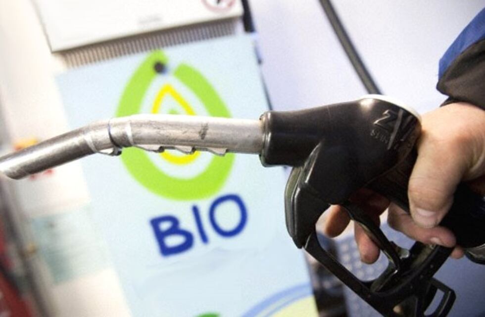 Estados Unidos seguirá investigando por dumping al biodiesel de la Argentina