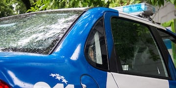 Personal del Comando Radioeléctrico vio durante un patrullaje de rutina cómo el adolescente trepaba al árbol\u002E