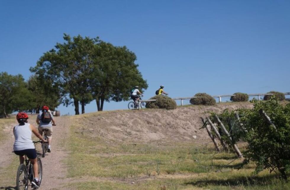 Coronavirus en el sur mendocino: reportaron 39 casos nuevos y el doble de pacientes recibieron el alta