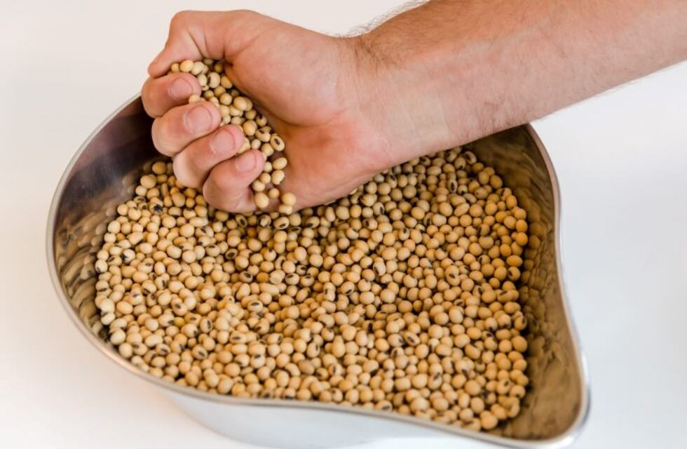 Nuevo programa de compensación y estímulo para pequeños productores de soja