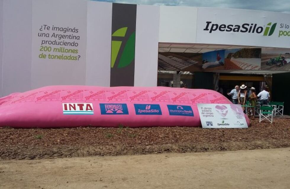 Silobolsas color rosa, inédita experiencia para colaborar contra el cáncer