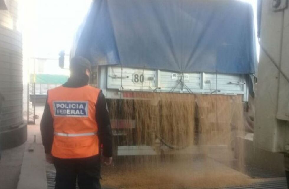 Secuestraron cargamentos ilegales de soja y maíz en Córdoba