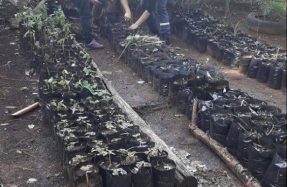 El Vivero Municipal va a la Costanera y entrega plantines a los vecinos