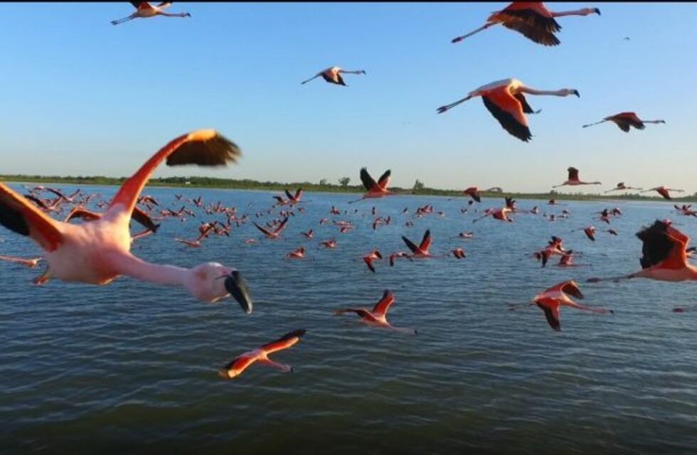 José Bría: “El mundo hoy conoce un poco más de nuestra región de Ansenuza”