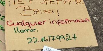 Compañeros de Brisa Castro marcharán para pedir su aparición