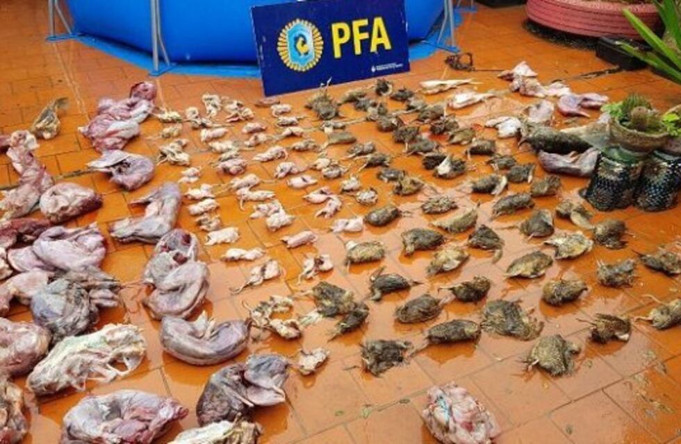 Secuestran perdices, liebres, nutrias, pescados y carpinchos para la venta