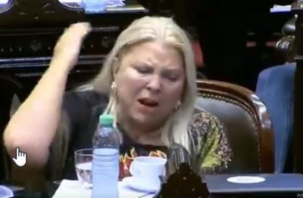 La polémica frase de Elisa Carrió en Diputados
