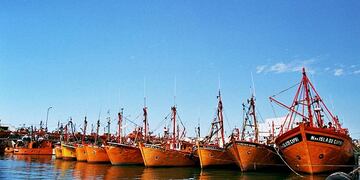 Sector pesquero de Mar del Plata\u002E