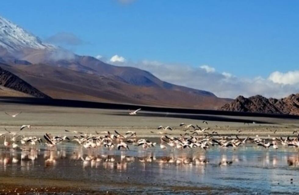 Antofagasta de la Sierra fue declarada como Capital Nacional del Vulcanismo