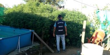 Detenidos en allanamientos\u002E