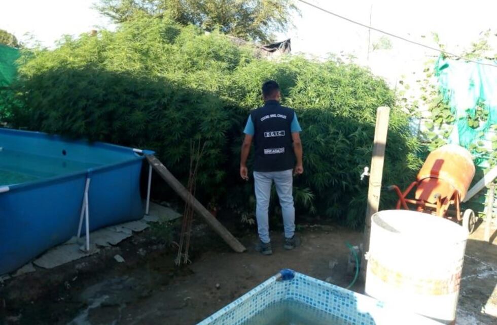 Hubo allanamientos en Córdoba y Sierras Chicas: 12 detenidos