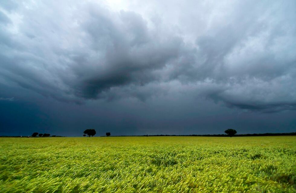 Niño moderado en puerta