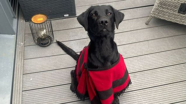 Este martes Rocco llegó a Frankfurt y al llegar le regalaron un poncho de Salta.