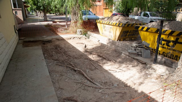 La Municipalidad de la Ciudad de Mendoza ya trabaja en el arreglo de veredas dañadas por el arbolado en la Cuarta y Sexta Secciones. Gentileza MCM