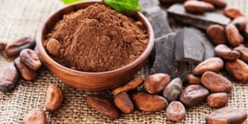 Qué beneficios aporta el cacao a la piel y qué productos hay