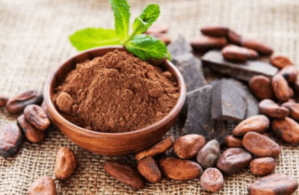 Qué beneficios aporta el cacao a la piel y qué productos hay
