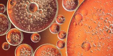 Tirzepatida y Dulaglutida: Comparación de sus Impactos Metabólicos