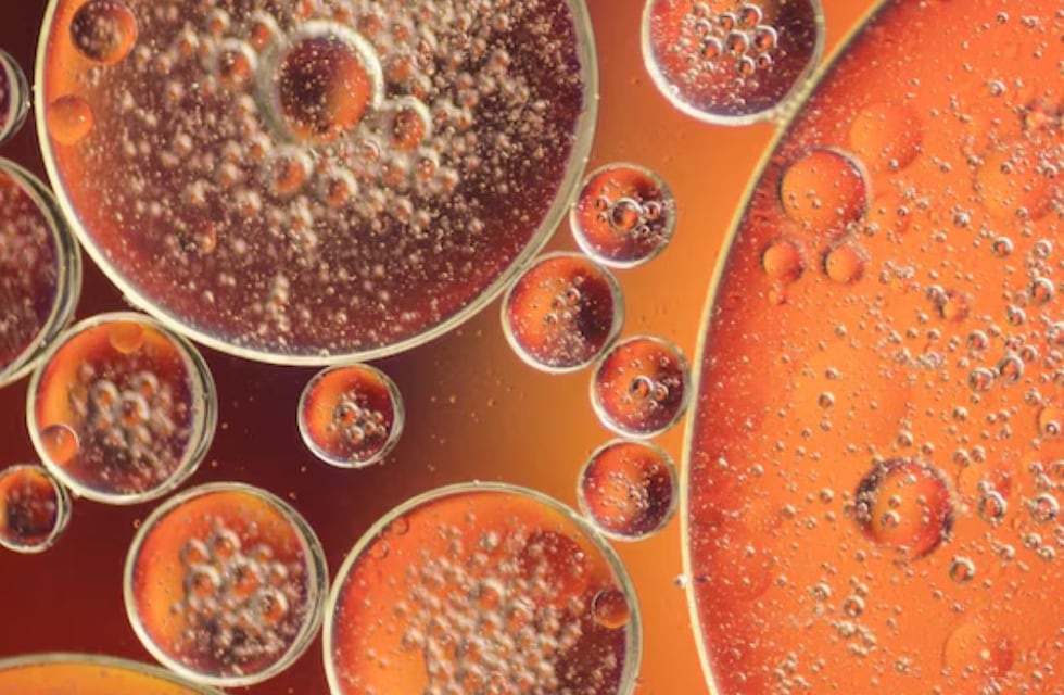 Tirzepatida y Dulaglutida: Comparación de sus Impactos Metabólicos