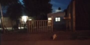 Usurparon su casa y ahora quieren vender el terreno