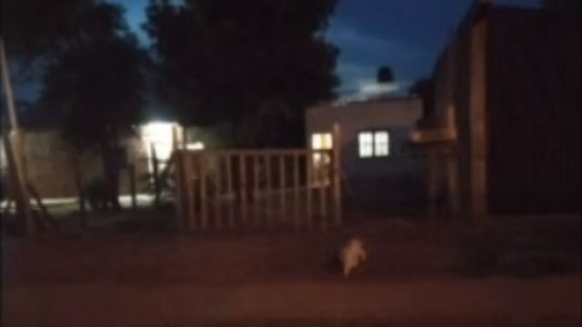 Usurparon su casa y ahora quieren vender el terreno